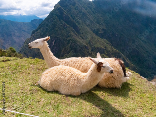 ペルー、マチュピチュとその周辺の景色 © ナカムラ