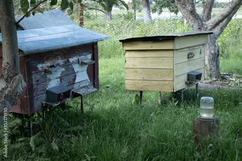 houses of bees - hive. beekeeping. apiculture concept. High quality photo