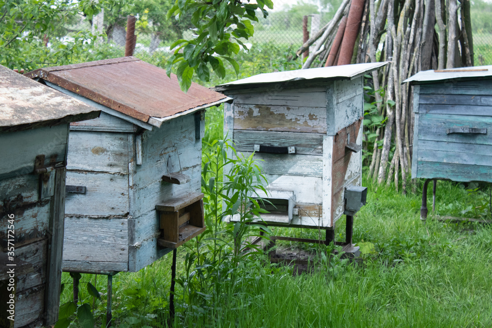 houses of bees - hive. beekeeping. apiculture concept. High quality photo houses of bees - hive. beekeeping. apiculture concept. High quality photo