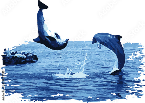 Dolphin illustration drawing png