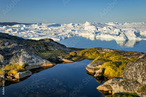 Fototapeta Naklejka Na Ścianę i Meble -  Greenland Ilulissat glaciers at ocean at polar night
