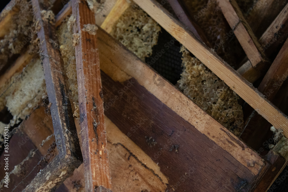 used honeycombs. houses of bees - hive. beekeeping. beekeeper. apiculture concept. High quality photo used honeycombs. houses of bees - hive. beekeeping. beekeeper. apiculture concept. High quality photo