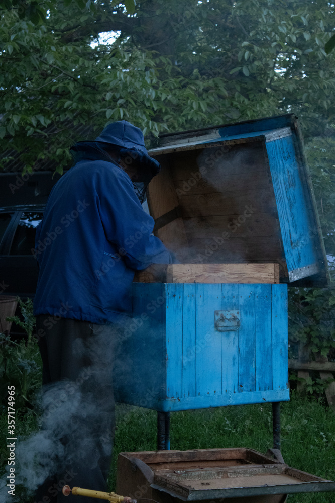  beekeeper works in the garden with the bees. honeycombs. houses of bees - hive. beekeeping. apiculture concept. High quality photo