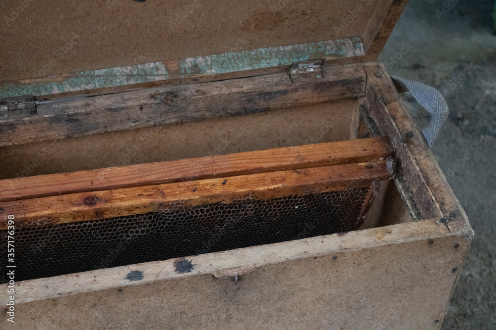 honeycombs. houses of bees - hive. beekeeping. beekeeper. apiculture concept. High quality photo honeycombs. houses of bees - hive. beekeeping. beekeeper. apiculture concept. High quality photo
