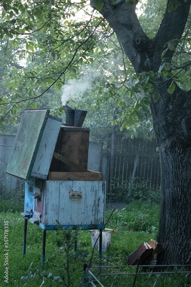 beekeeper works in the garden with the bees. honeycombs. houses of bees - hive. beekeeping. apiculture concept. High quality photo beekeeper works in the garden with the bees. honeycombs. houses of bees - hive. beekeeping. apiculture concept. High quality photo