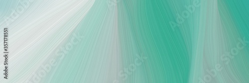 abstract curved speed lines background or backdrop with dark sea green, ash gray and blue chill colors. can be used as banner background