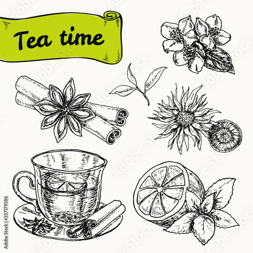 set of elements for tea or breakfast. tea, tea spices, lemon. hand drawn vector illustration