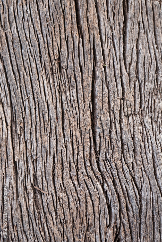 Beautiful Old Bark Pattern Background Beautiful Old Bark Pattern Background