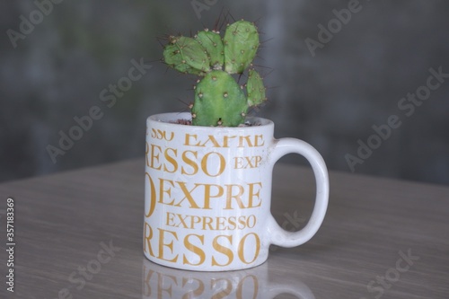 cup of coffee