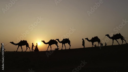 camel caravan travel in rajasthan desert people picnic and walking with camel kutch white desert indian touisum