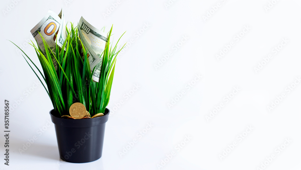 Fototapeta premium Investment or saving concept on white background