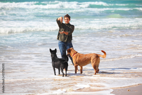 Teenage girl  playing with her dogs on the beach © leonidp