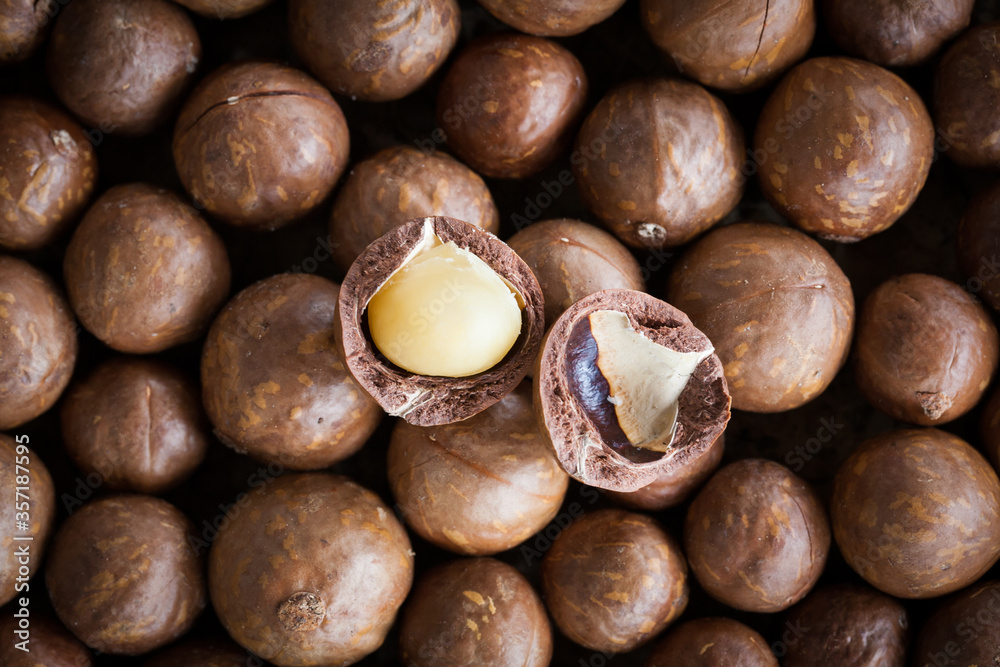Organic Macadamia Bean Background Organic Macadamia Bean Background