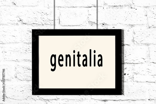 Black frame hanging on white brick wall with inscription genitalia photo
