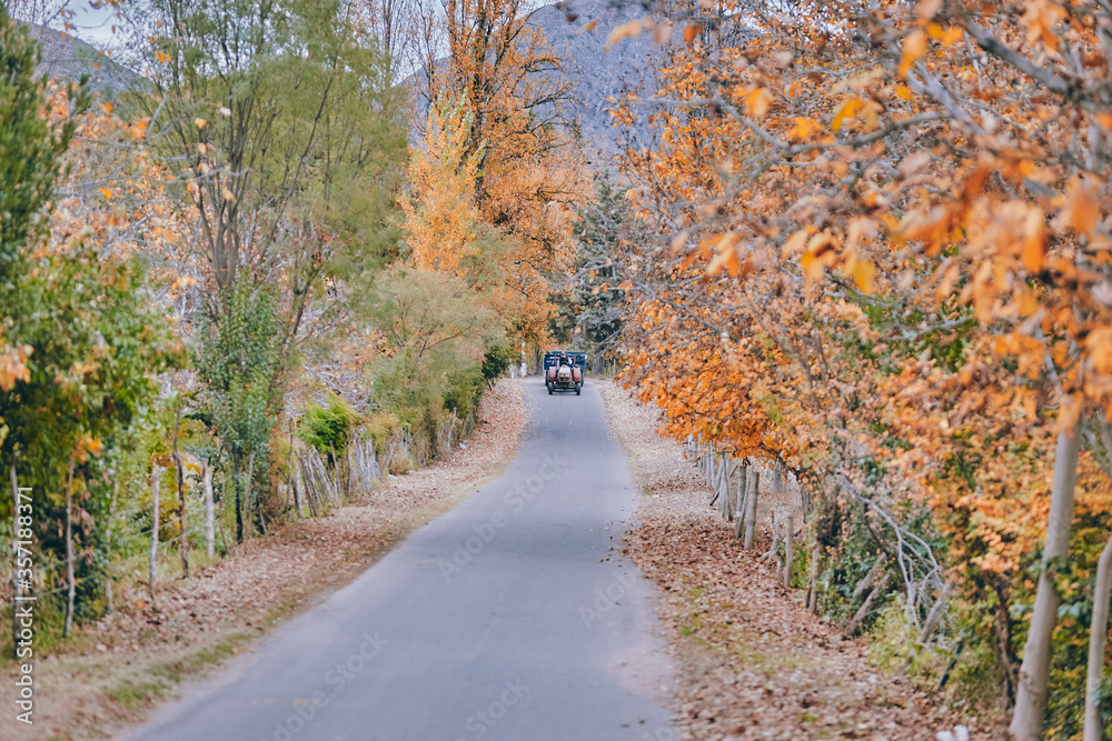 Otoño en sañogasta