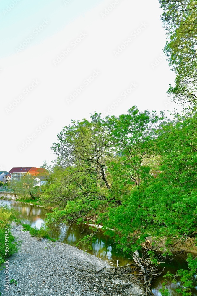 river with lush green crowns of trees on the shore