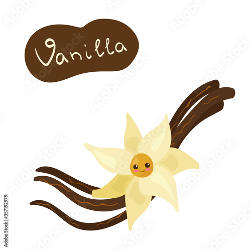 Kawaii Vanilla flower vector character isolated on white background. Funny smiling vanilla with hand written lettering. Cute food mascot illustration. Kids menu concept. Decoration for post card. 