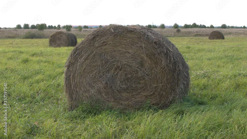 Haystack near the center and two in the background in the field in summer Haystack near the center and two in the background in the field in summer