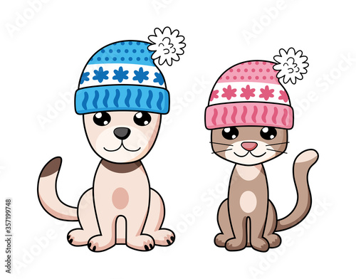 Cat and dog in winter knitted hats isolated