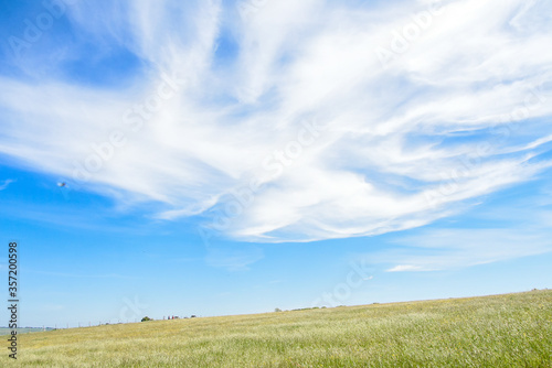green grass field and blue sky with white clouds