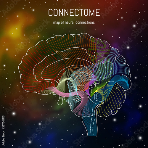 Neuroscience infographic on space background. Brain cells connectome concept.Neural network, neurons forming a complex map for mind and thinking