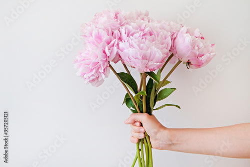 Fototapeta Naklejka Na Ścianę i Meble -  Cropped shot of female hand holding a bright bouquet of pink peonies w/ lush buds. Woman with spring flowers. White backgound, copy space for text. Top view, close up, minimalistic composition.