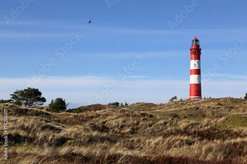 Lighthouse amidst marram grass and sand dunes in Amrum  North frisian island in Schleswig Holstein  Germany