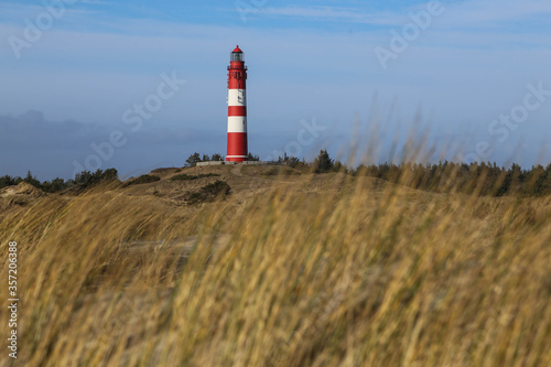 Lighthouse amidst marram grass and sand dunes in Amrum  North frisian island in Schleswig Holstein  Germany