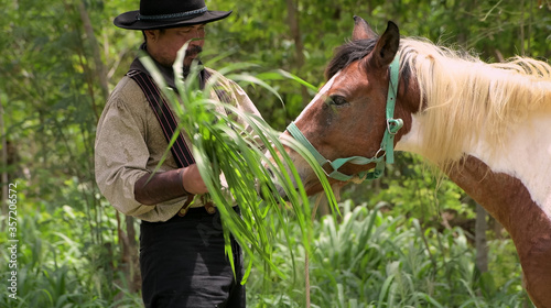 cowboy man is playing with a horse and gives fresh grass that is held in the hand with the horse. © Surachai