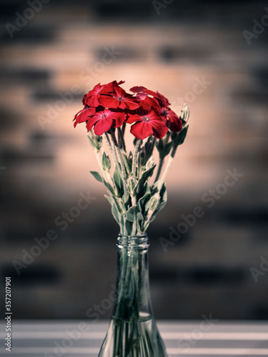 Bouquet of red flowers in a glass vase on blurred vintage brick wall background. Low key, shallow depth of field