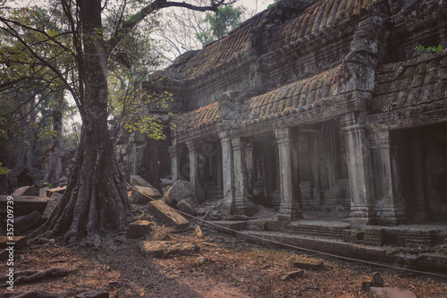 Angkor Thom and tree