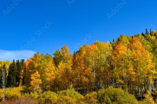 Fototapeta Naklejka Na Ścianę i Meble -  Fall colors in Colorado