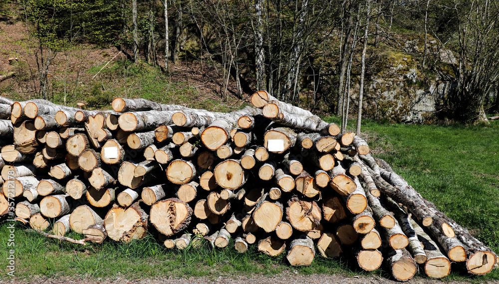 Logs of timber waiting to be picked up on a field