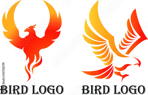 Logo flying bird design vector. Eagle falcon icon