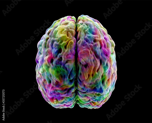brain activity, colored human brain model, view top, 3d illustration