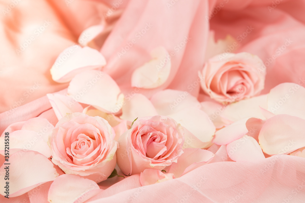 pink rose flowers on soft silk - wedding, holiday and floral background styled concept, elegant visuals