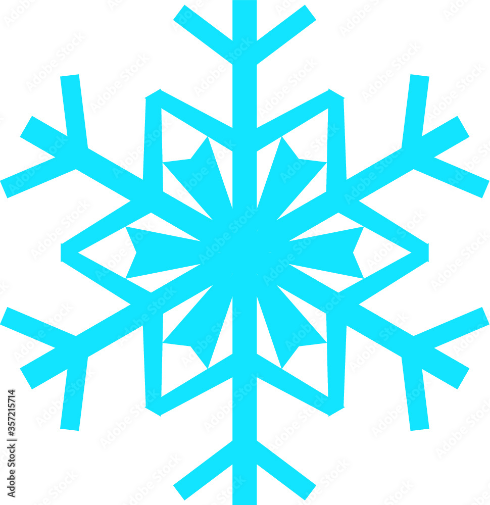 Snowflake vector icon. Winter Snowflake vector icon. Winter