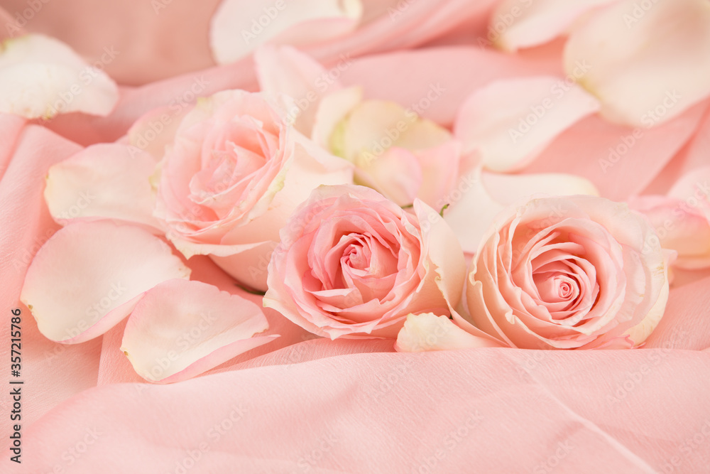 pink rose flowers on soft silk - wedding, holiday and floral background styled concept, elegant visuals