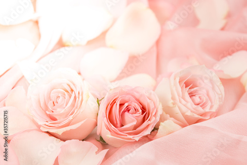 pink rose flowers on soft silk - wedding  holiday and floral background styled concept  elegant visuals