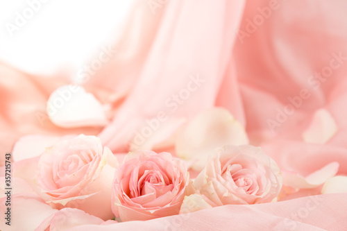 pink rose flowers on soft silk - wedding, holiday and floral background styled concept, elegant visuals