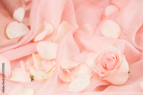 pink rose flowers on soft silk - wedding  holiday and floral background styled concept  elegant visuals