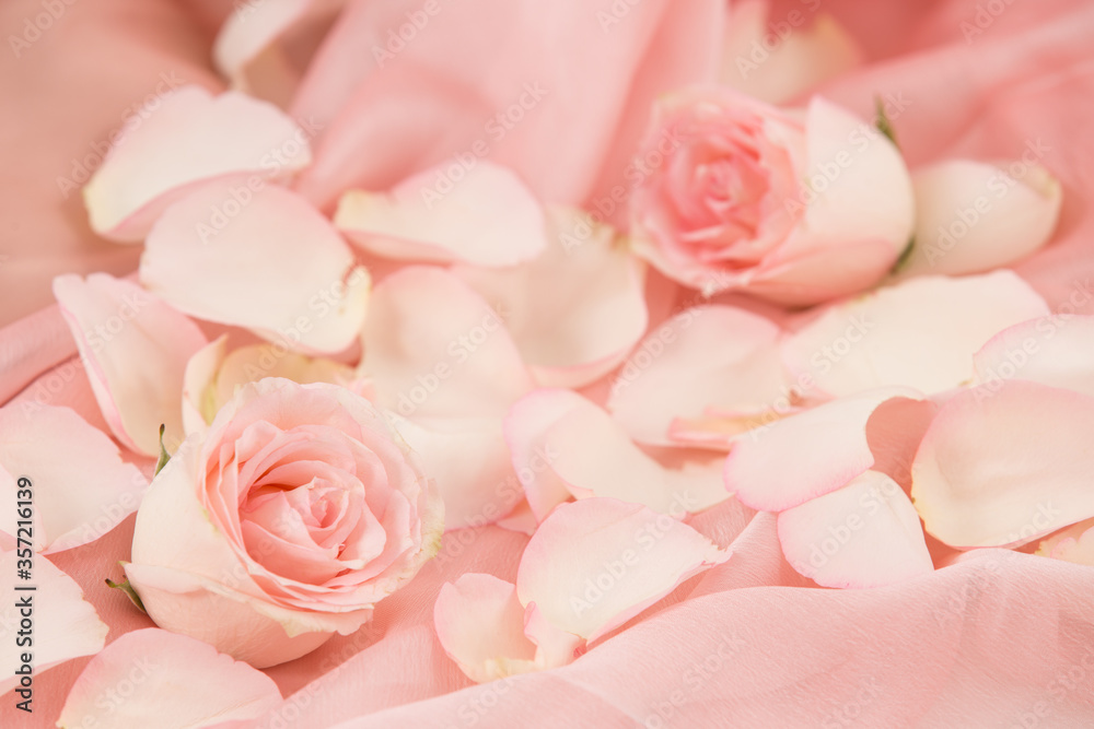 pink rose flowers on soft silk - wedding, holiday and floral background styled concept, elegant visuals pink rose flowers on soft silk - wedding, holiday and floral background styled concept, elegant visuals