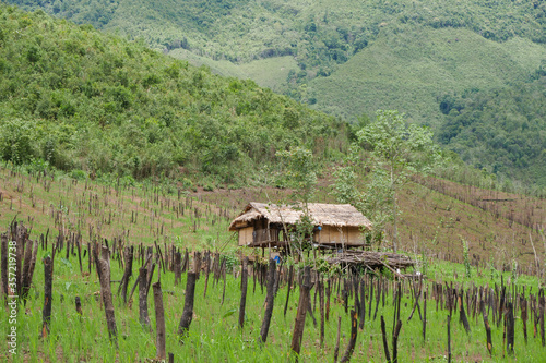 rice terraces in bali