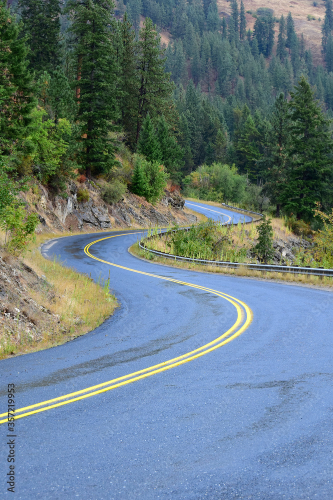 A paved highway with double yellow lines winding through pine trees of the mountain, wet and shiny after rain.