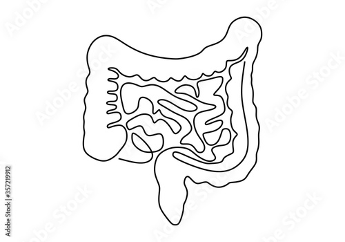 Intestines. Human body organ. Continuous line illustration of Internal digestive system isolated on white background. Anatomical human theme. Medicine scheme anatomy hand draw vector Illustration