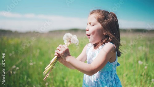 Beautiful girl with dandelion flower in summer. Girl blowing on dandelions. Happy kid having fun outdoors. Happy childhood.