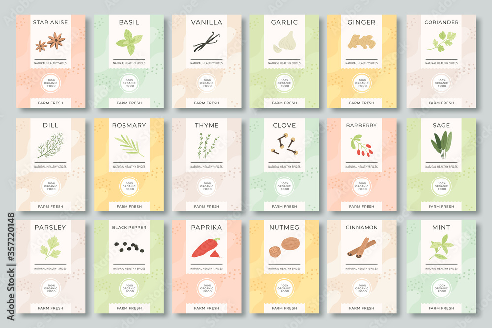 Spices labels. Different aromatic herbs and spices color packaging for culinary, food preparing. Garlic, pepper and basil, spinach and mint organic product for selling vector set. Bags with herbs.