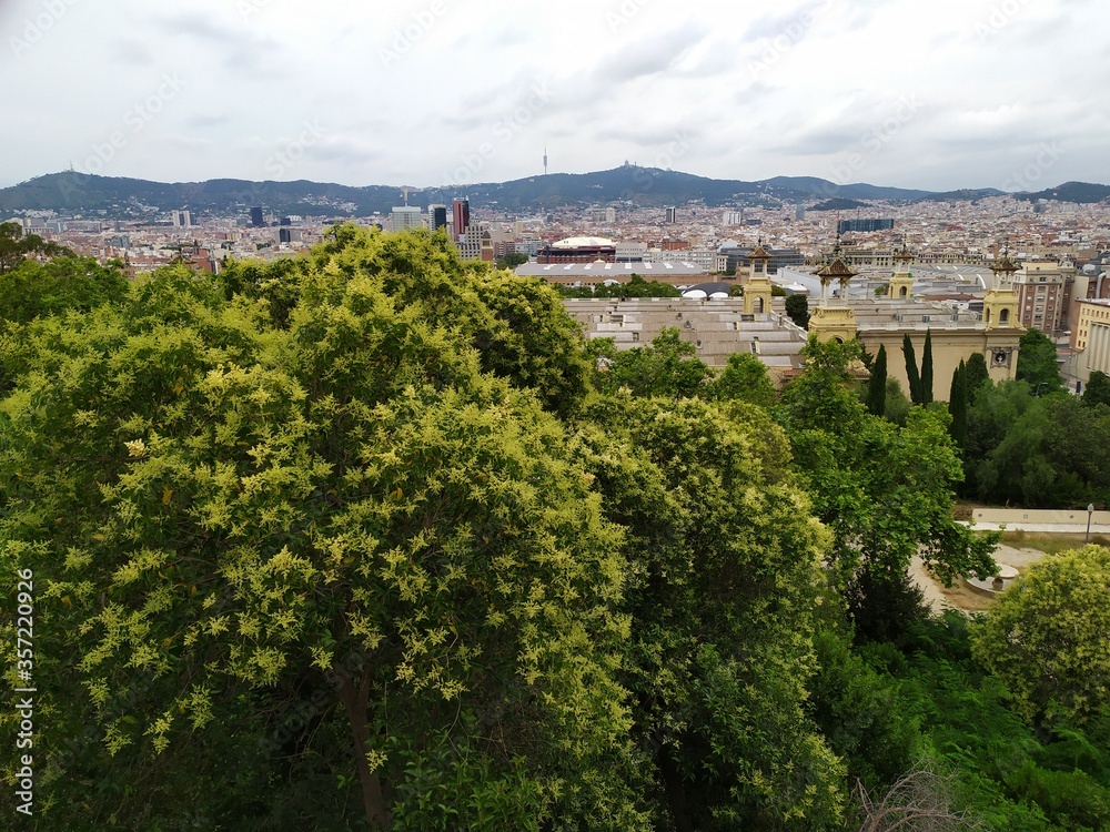 Montjuic,Barcelona, viewpoint and Museum of Contemporary Art
