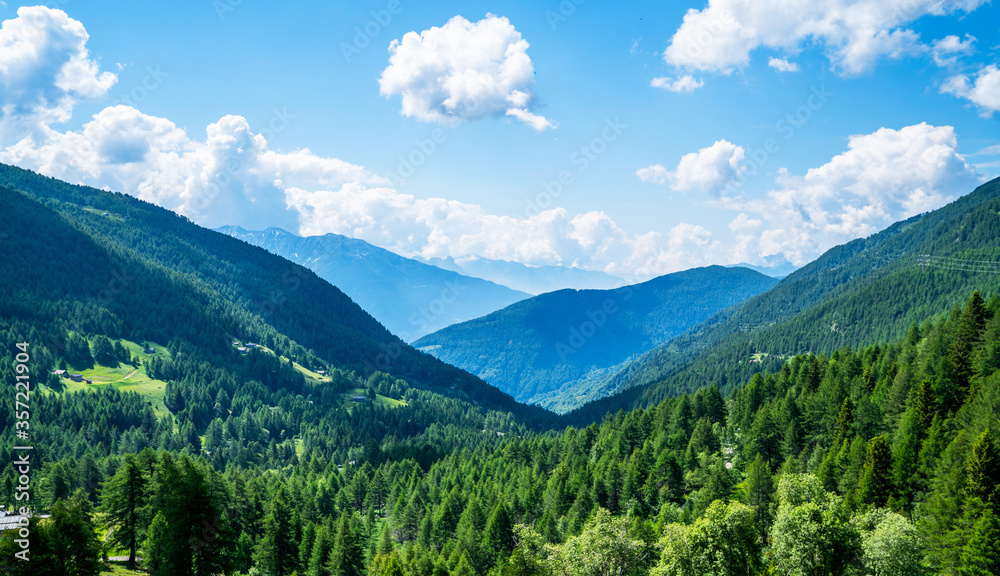 Beautiful nature background. Wonderful springtime landscape in mountains. Forested mountain slopes in low lying cloud with the evergreen conifers in a scenic landscape view. Beautiful nature background. Wonderful springtime landscape in mountains. Forested mountain slopes in low lying cloud with the evergreen conifers in a scenic landscape view.