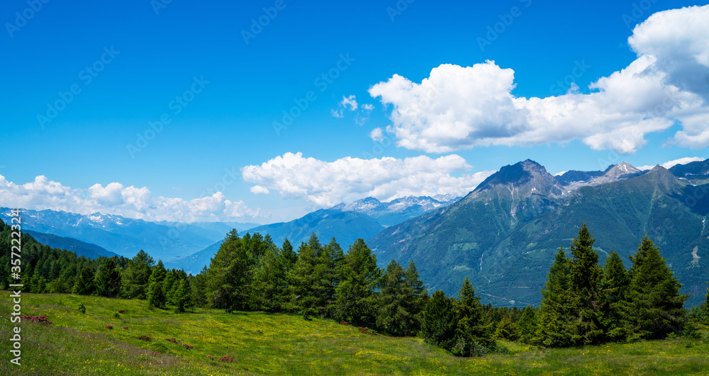 Panorama of beautiful countryside of Swiss Alps. Sunny afternoon. Wonderful springtime landscape in mountains. Grassy field and spring flowers. Rural scenery.